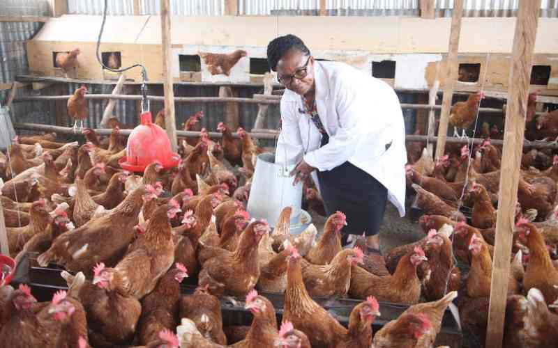 Youth Empowerment Through Poultry